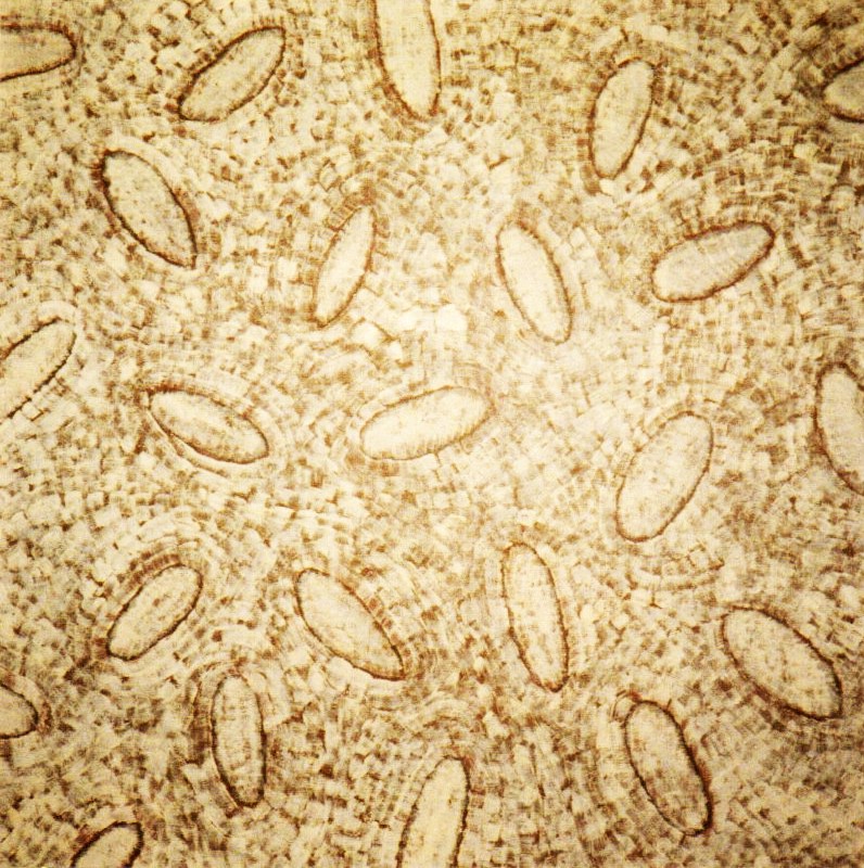 11- Acryl-Linnen 55x55 cm