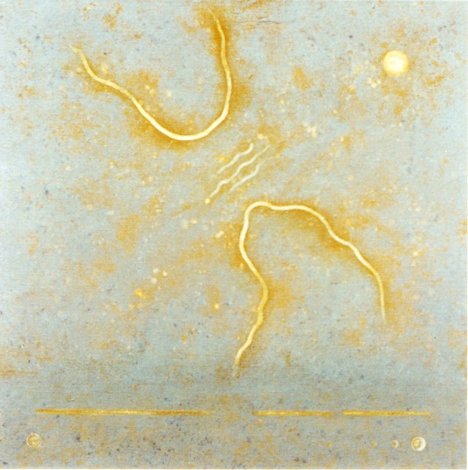 12- Acryl-Linnen 60x60 cm