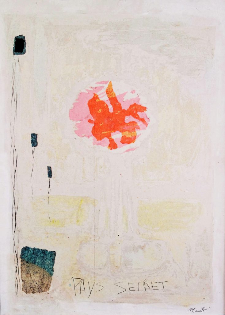 14 Pays secret Mixed media 75x100 cm - 2017